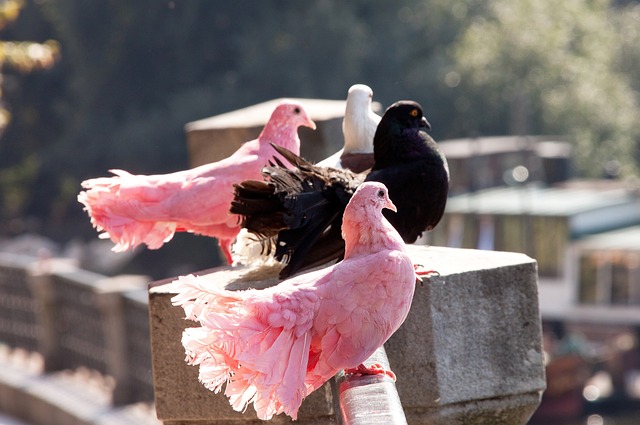 帕尔特伊律师：否认所有指控，配合CPS调查三年，期待最终清白