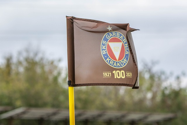 让市民与游 让市民与游