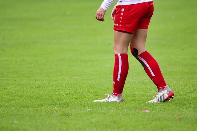 平衡的整体 平衡的整体