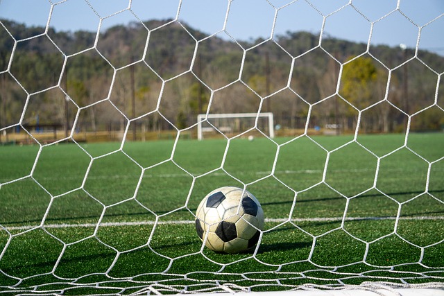 在与新加坡 在与新加坡