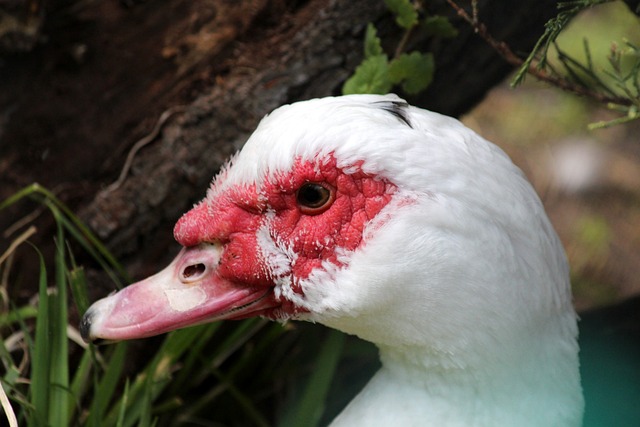 也不能放松 也不能放松