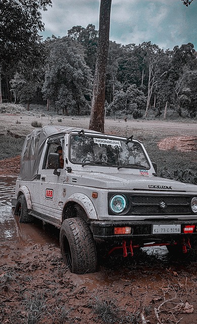 技术特色无 技术特色无