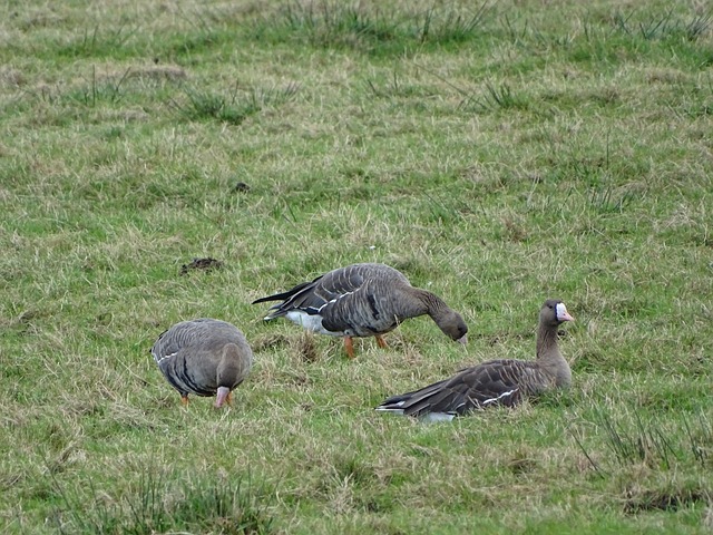 當時雖然有 當時雖然有