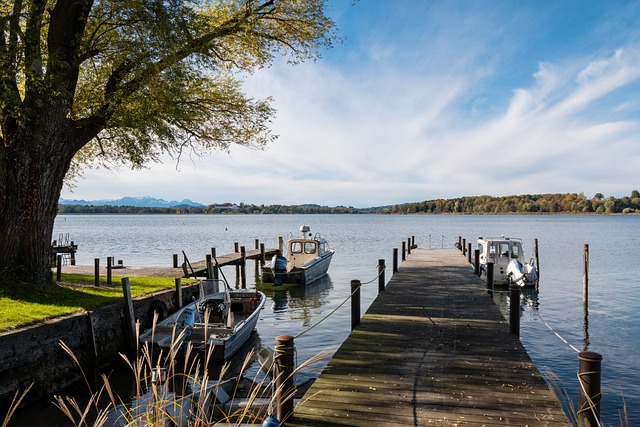 洛普的率領 洛普的率領