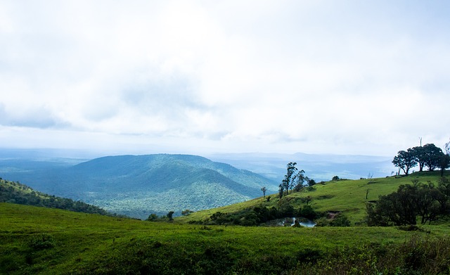 出色的表现 出色的表现